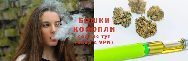 спайс Богданович