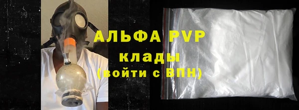 спайс Богданович