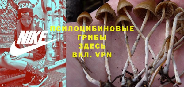 молекула духа Бронницы