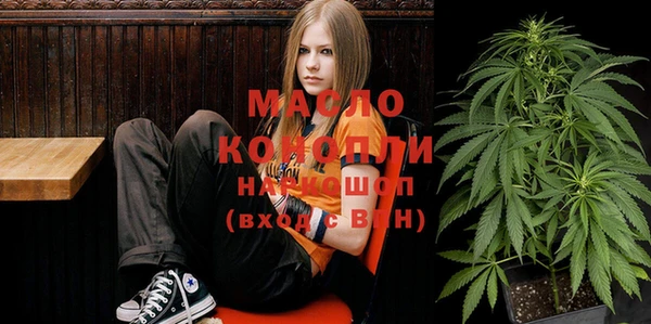 молекула духа Бронницы