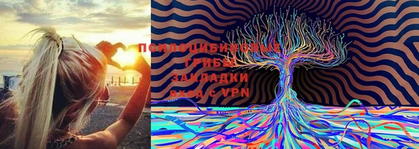 скорость Бородино