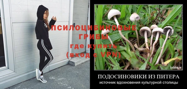 ГАЛЛЮЦИНОГЕННЫЕ ГРИБЫ Богородск