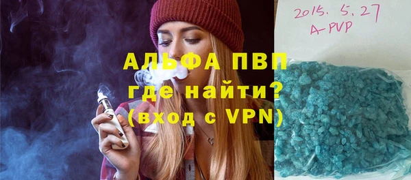 бошки Гусев