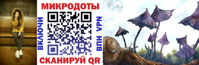Псилоцибиновые грибы Cubensis  darknet наркотические препараты  Среднеуральск  OMG сайт 